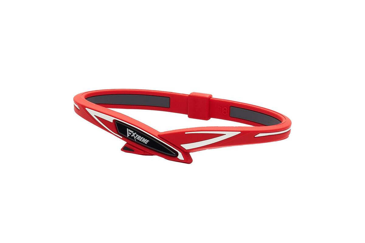 Phiten RAKUWA apyrankė